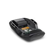 Base auto ceinture Darwin