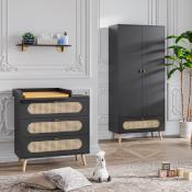 Armoire Vox Canne Noire