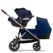 GAZELLE S Taupe Navy Blue 