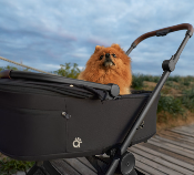 Nacelle pour animaux pour Aire Q Anex Muna Black
